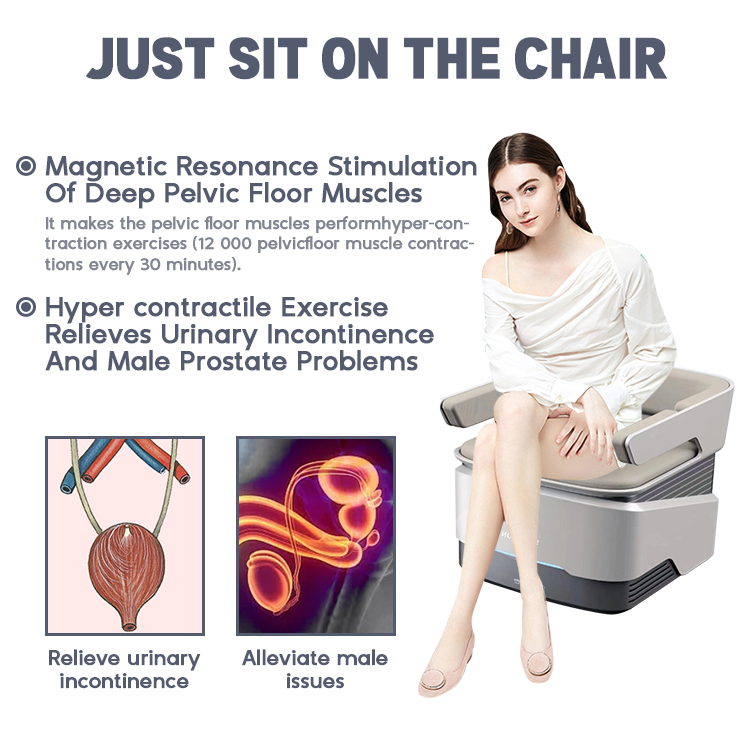 EMS Pelvicfloor Resonance Instrument EMSCULP 기계 근육 자극기 전후에 판매하는 판매 2024