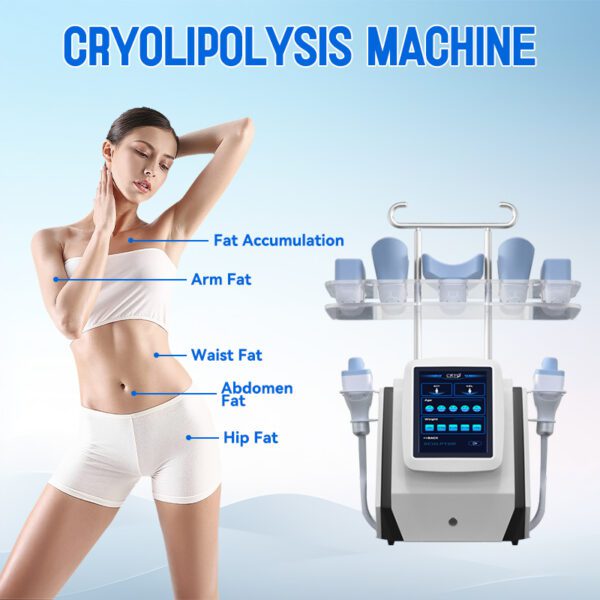 S10 S10 Criolipolisis Portatil Slimming Machine Cryotherapy Criolipolisis Machine with Two Handles - Bild 2